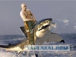 Путин с клювом в халате возглавил журавлиный клин