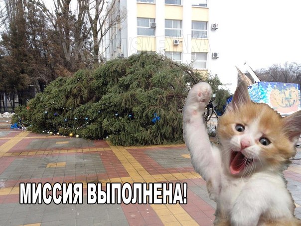 Подборка прикольных картинок