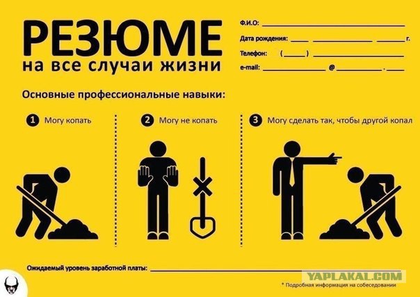 Картинки из интернетов