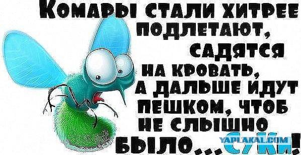 Весёлые картинки