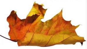 У всех есть такие родственники