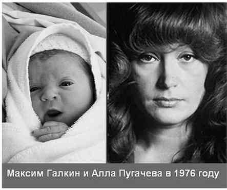 Бабы, вы совсем?