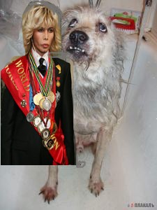 Как заставить мужа выгулять собаку