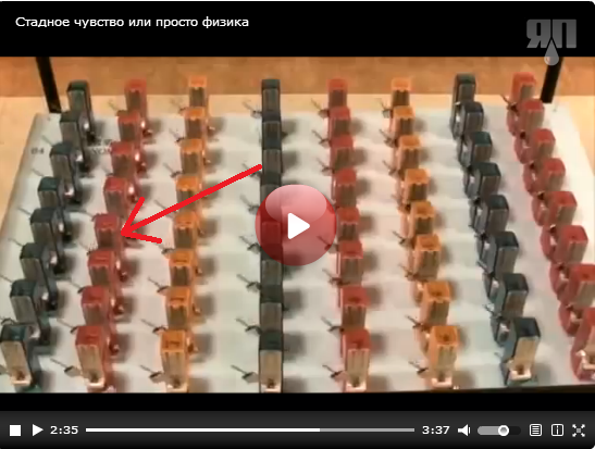 Стадное чувство или просто физика