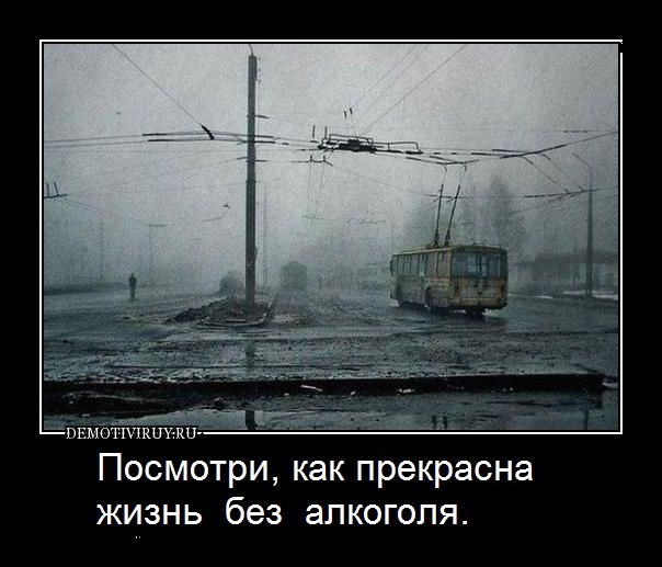 Алкогольный конец сентября