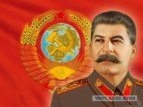 Хиллари рептилия?
