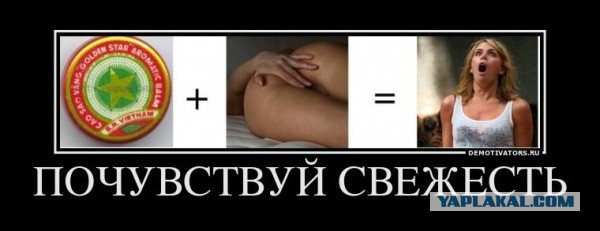 Смешные картинки из сети