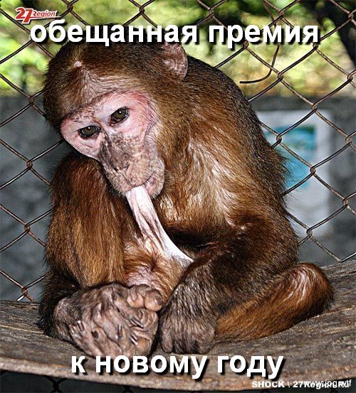 Смешные комментарии из социальных сетей 16.12.2016