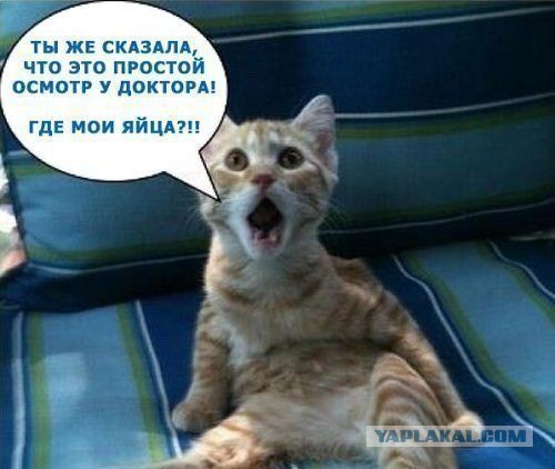 Шведская полиция потеряла контроль над Мальмё