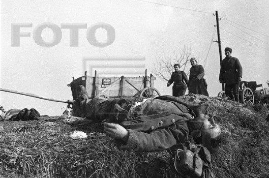 Фотографии к "Нахальному минированию" и "Лехе"