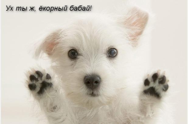 Маразм крепчает