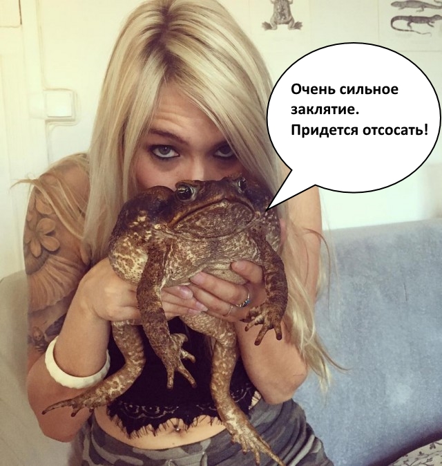 Подборка интересных и веселых картинок