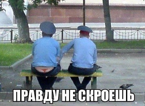 Вот так огламурилась питерская полиция