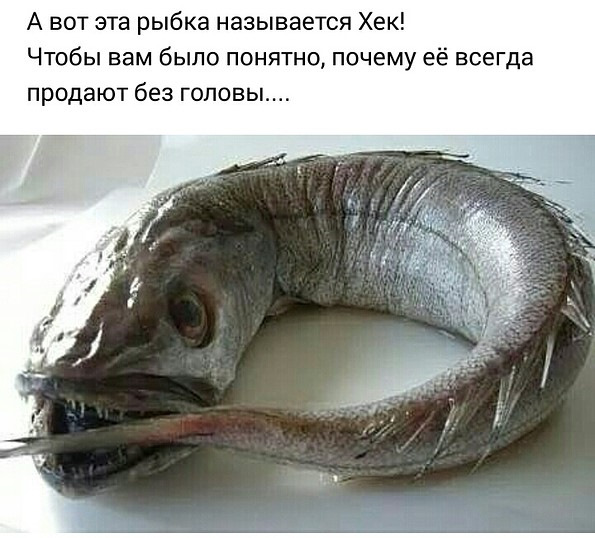Подборка интересных и веселых картинок