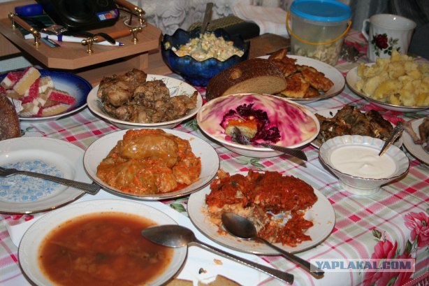 Макдоналдс, взгляд изнутри