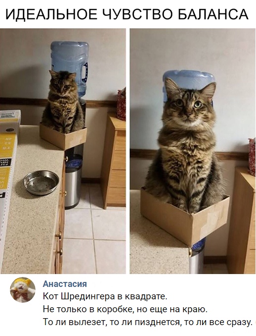 Немного милоты