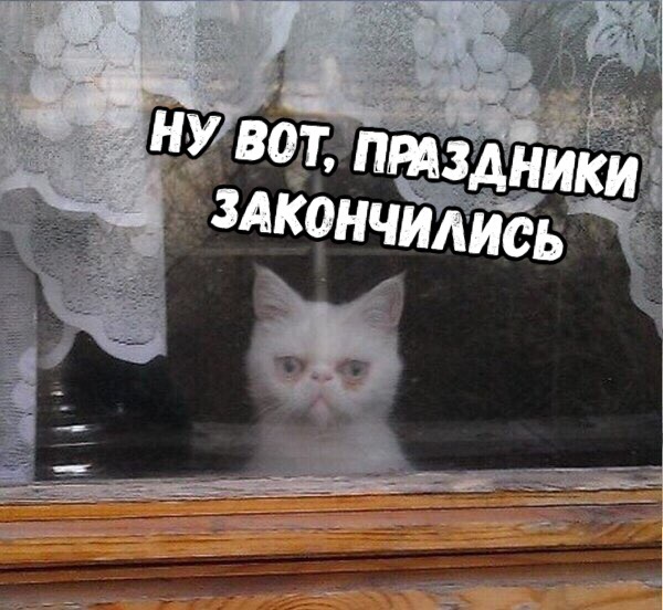 Прикольные картинки абавсём