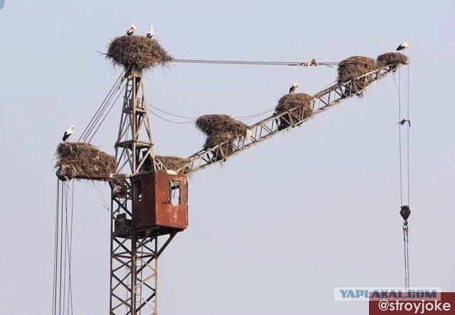 Одиночество в сети