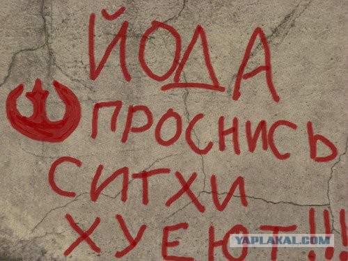 Асфальт, стены, заборы... Так пить или жить?