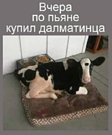 Немного картинок для настроения