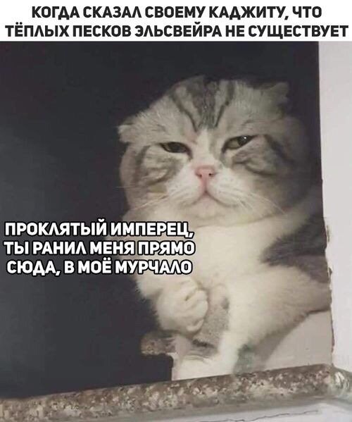 13483560.jpg