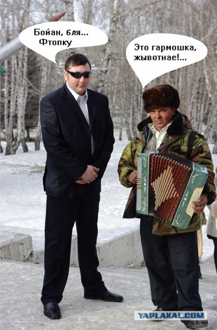 Гармонист на свадьбе