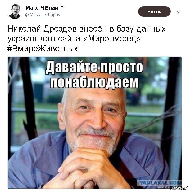 Унылая тульская осень