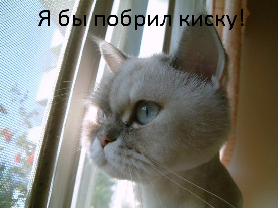Фотожаба: А ты?