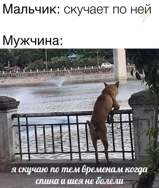 Двойные стандарты