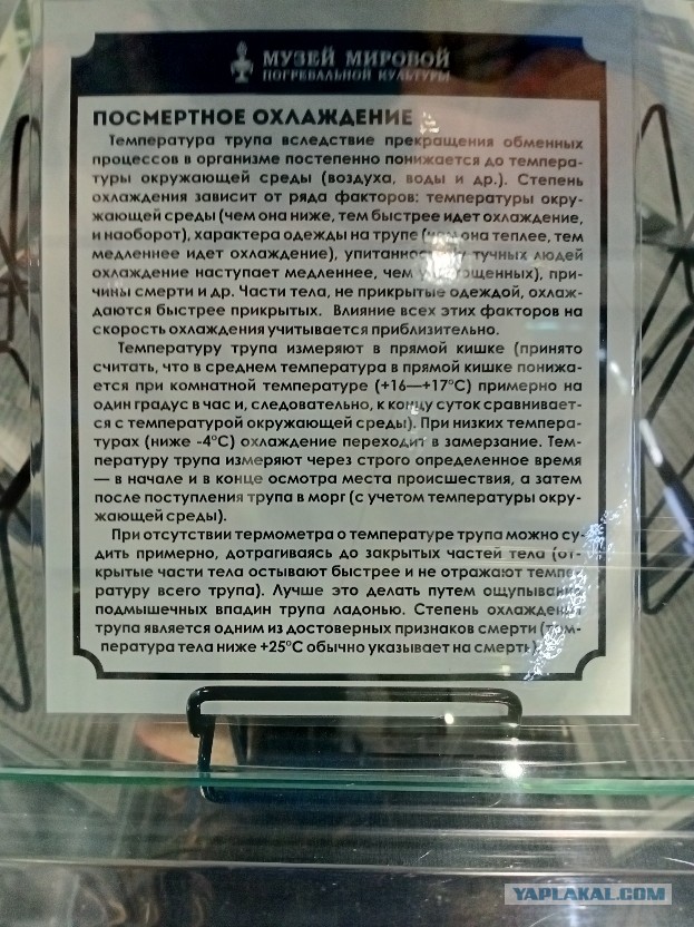 Что происходит с телом после смерти