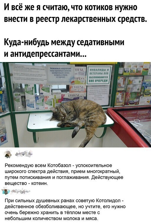 Картинки и мемы для настроения 15.03.2021