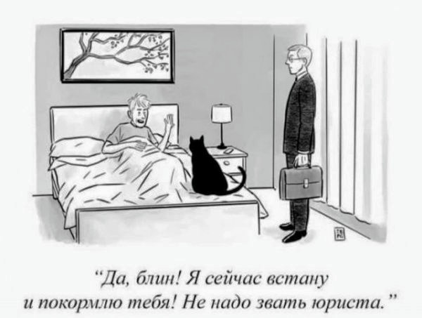 Картинки и мемы для настроения 30.03.2021