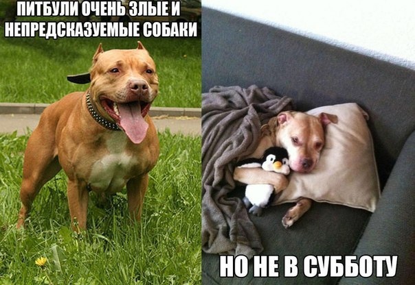 Так себе картинки 22.08.21