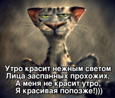 Так себе картинки 23.09.21