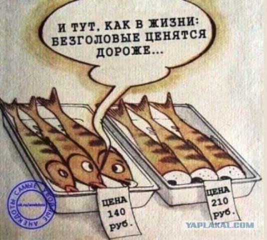 Баянисто-небаянистый юмор 4.11.21