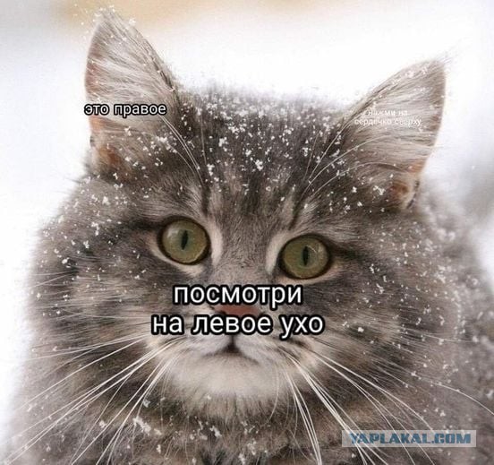 Делайте выводы