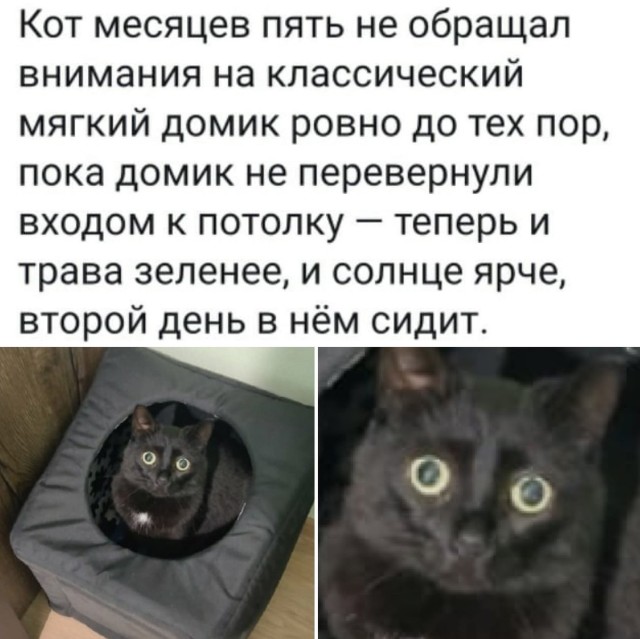 Чуток картинок 19.01.22