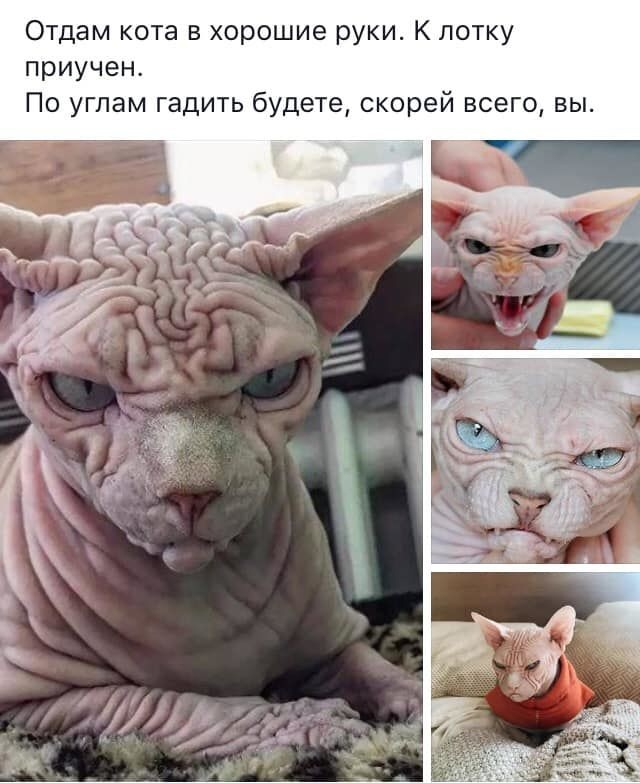 Так себе картинки 27.02.22