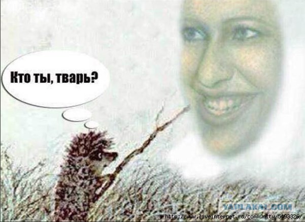 Ксения Собчак получила израильское гражданство.
