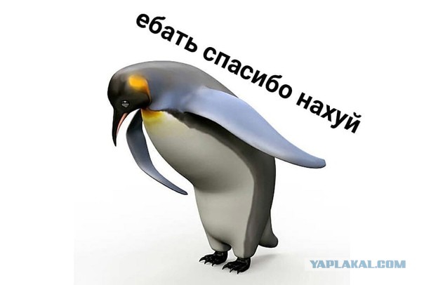 Солдаты 93-й омбр ВСУ неудачно вошли в боевое соприкосновение с ВС РФ на Славянском направлении