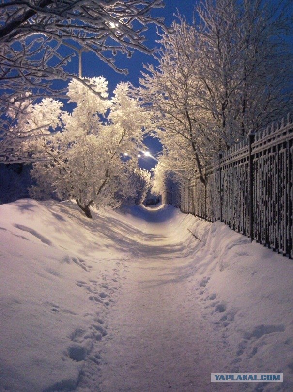 Кольский полуостров