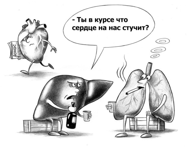 Картинки и мемы, всем хороших выходных