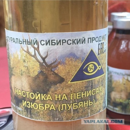 Роспотребнадзор предупредил об опасности употребления кротовухи