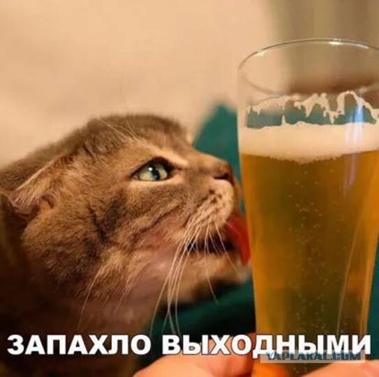 Прикольные и просто красивые картинки 20.01.2023