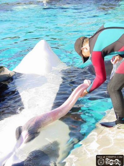 Женская логика беспощадна...