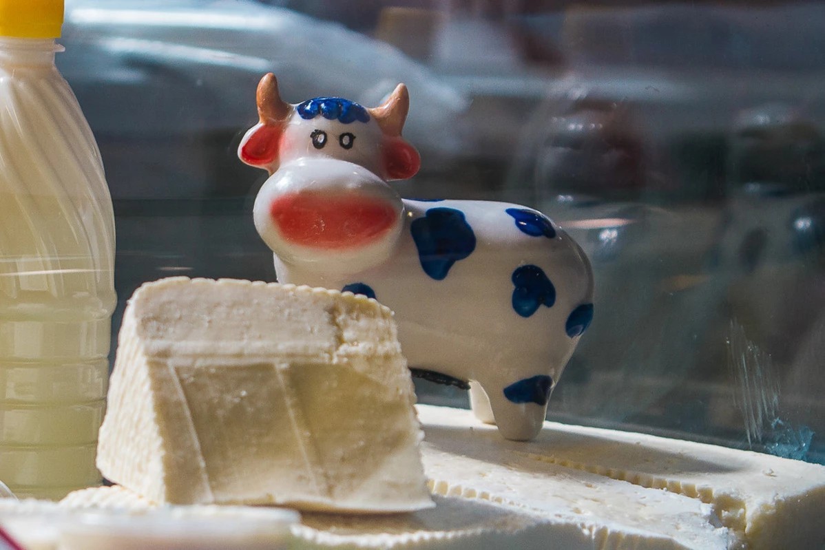 молоко вятушка пакет. ооо «звениговский городской молочный комбинат». молочка ростовская область. ао волгомясомолторг молочная продукция. молоко божья коровка пастеризованное 2,5% 900мл.