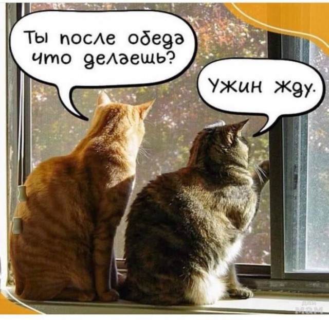 Картинки и мемы, всяко разно - 175