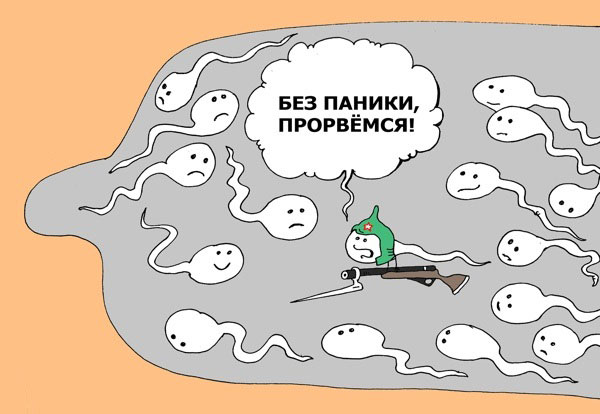 Кому боянов, боянов кому?