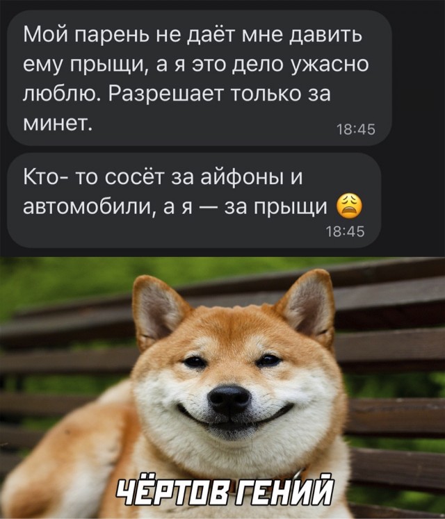 Набрел на склад баянов. Налетай