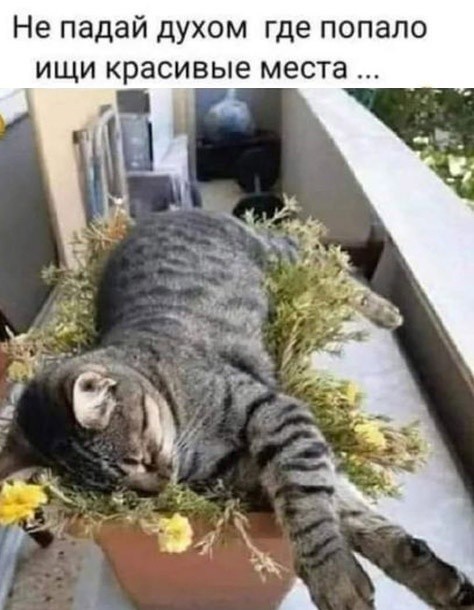 Всего понемногу. От 02.10.23